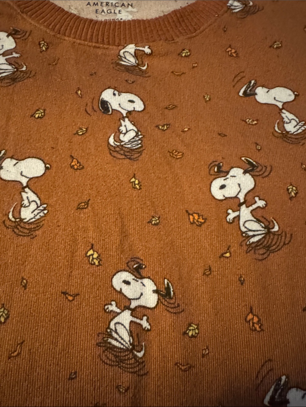 American Eagle Outfitters Brown Snoopy Pajama Set - Picture 2 of 8
